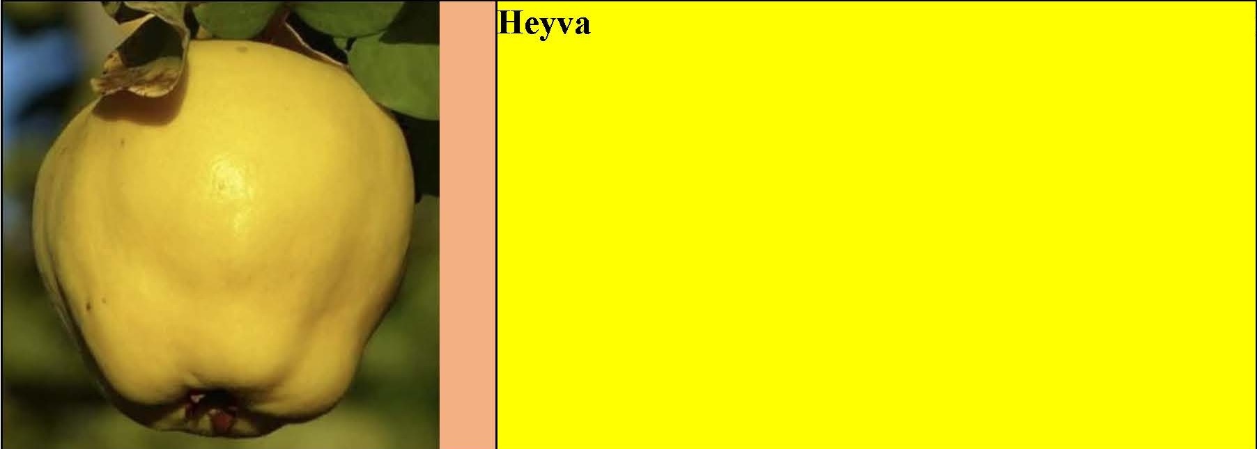 Göyçə alçası, əzgil, göyəm, heyva tingləri — şəkil 4
