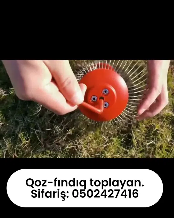 Ergonomic nut harvester tool - Tenderyard