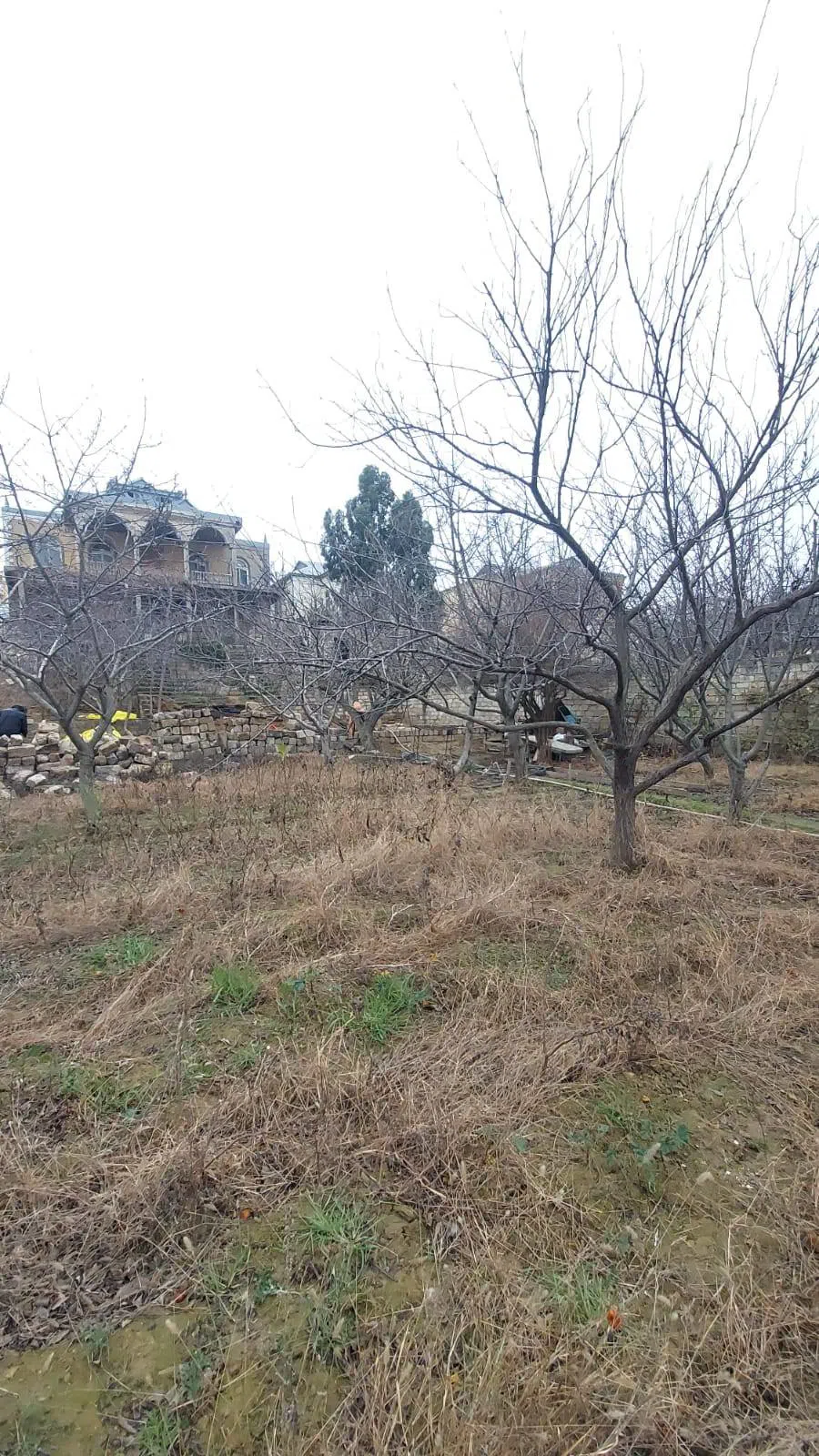 6 otaqlı villa 450 m² - 16 sot torpaq sahəsində satılır — şəkil 2