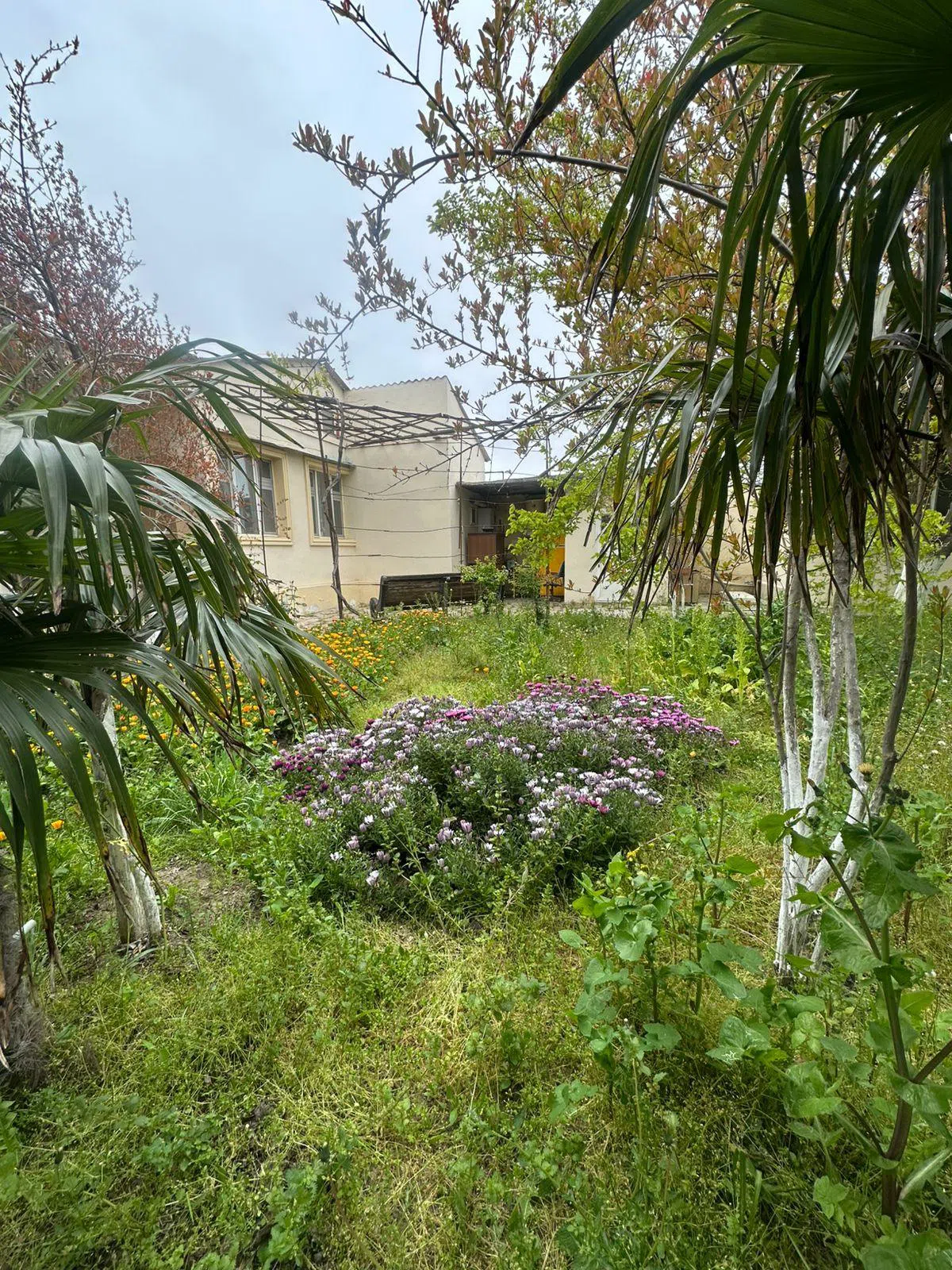 3 otaqlı bağ evi 120 m² 5 sot torpaq sahəsində satılır — şəkil 18