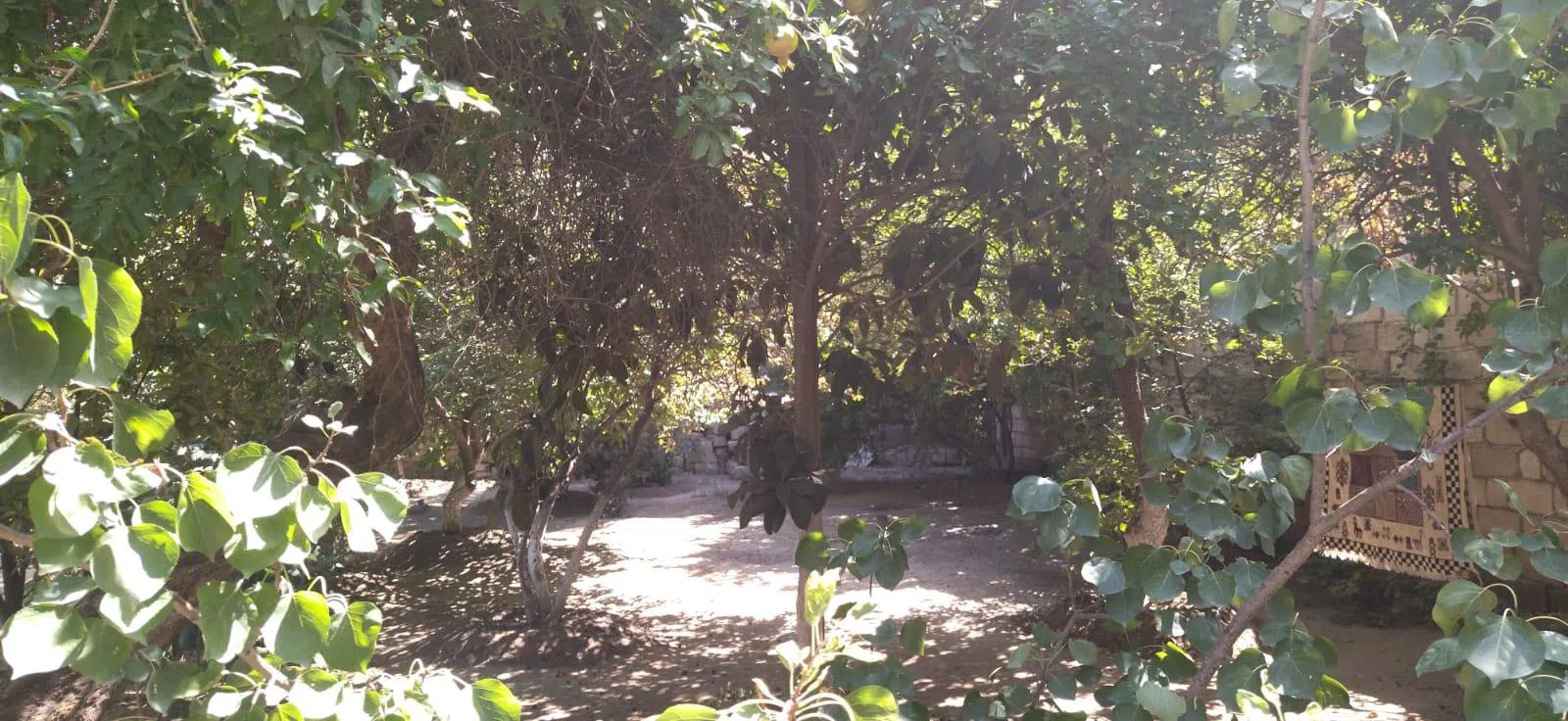 3 otaqlı həyət evi 54 m² - 5.5 sot torpaq sahəsində satılır — şəkil 3
