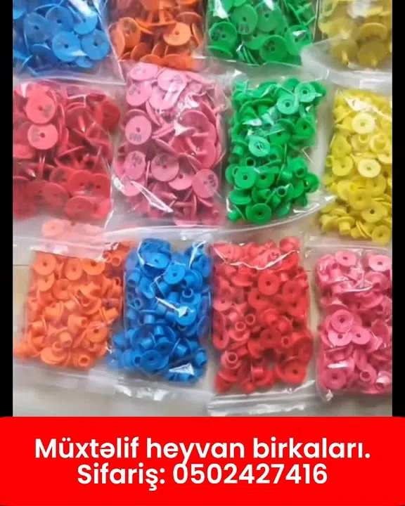Müxtəlif heyvan birkaları - Tenderyard